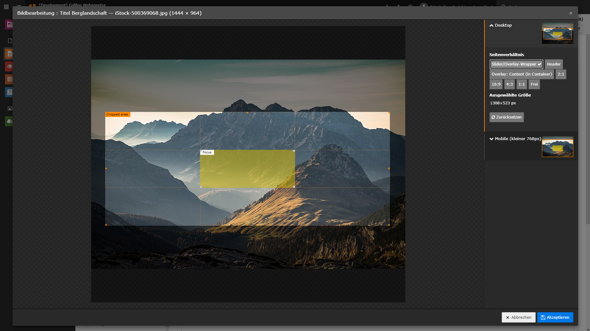 Screenshot TYPO3 Image Cropping Screenshot von Image Cropping im TYPO3-Backend