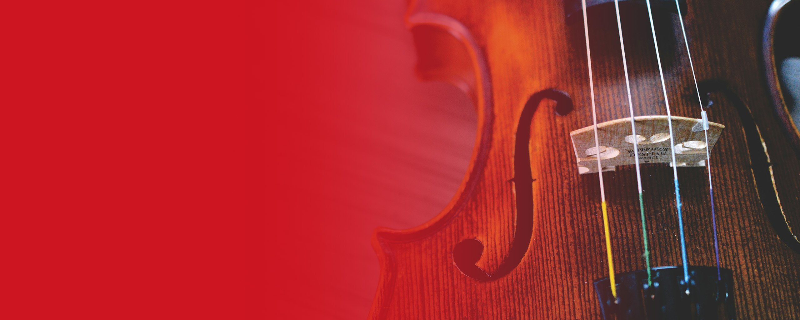 Nahaufnahme einer Violine